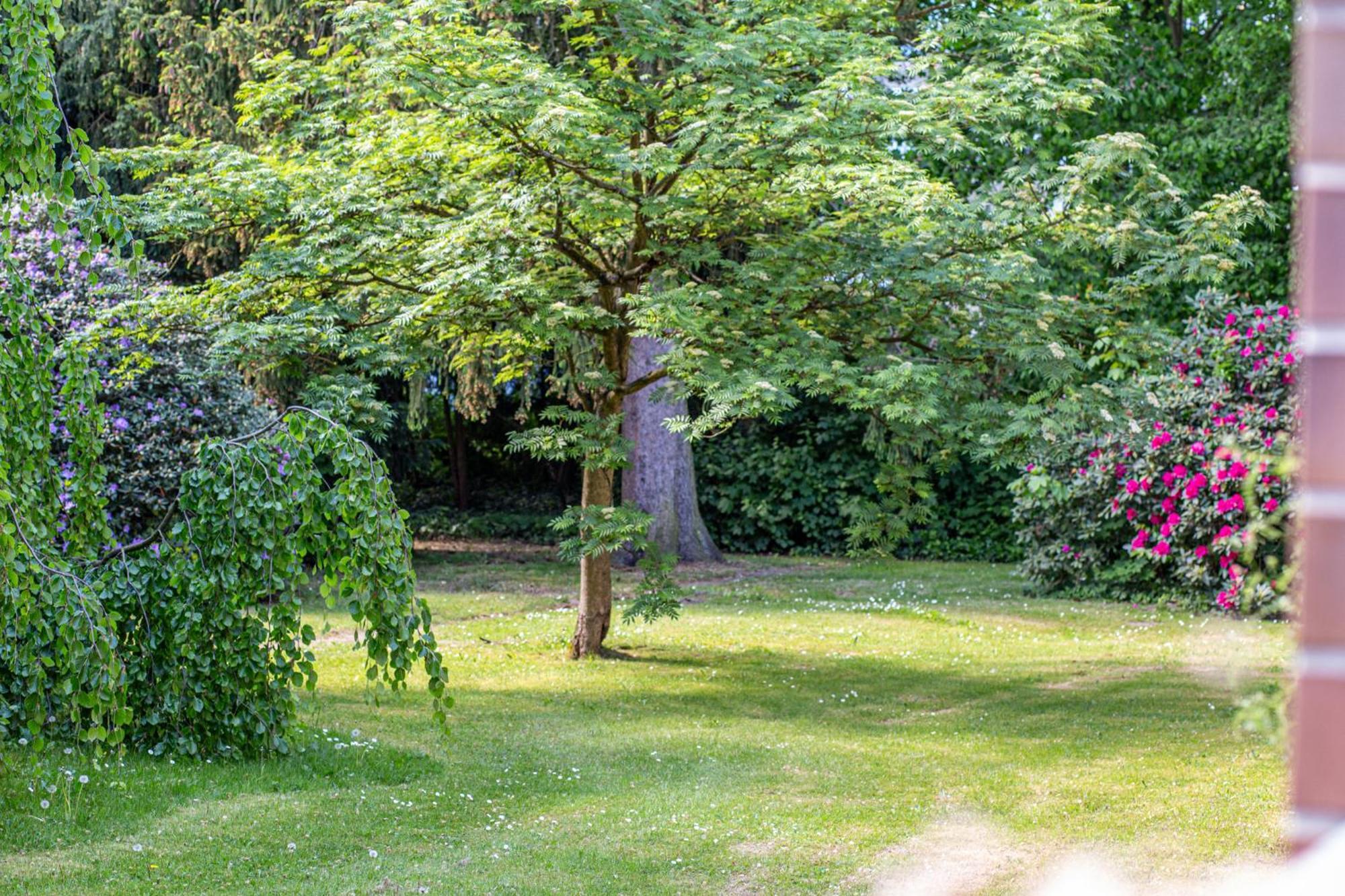 Have-A-Nice-Stay - Nahe Bahnhof Ahrensburg - 20 Minuten Nach Hamburg - Trotzdem Ruhig Gelegen - 6 Minuten Zu Fuss Ins Zentrum Ahrensburg - Modern Eingerichtet Εξωτερικό φωτογραφία
